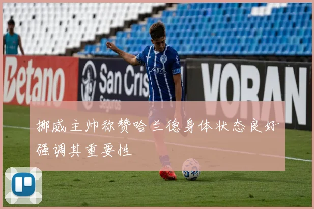 挪威主帅称赞哈兰德身体状态良好强调其重要性